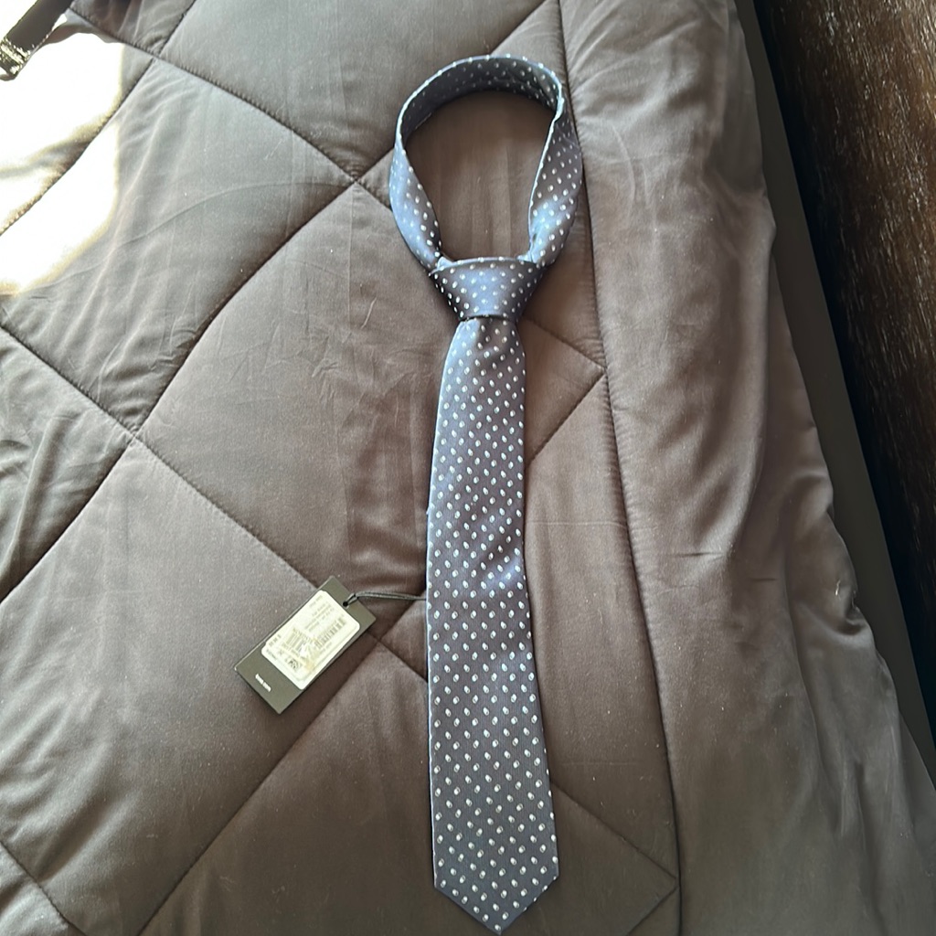 Brand New Never Worn Hugo Boss Tie